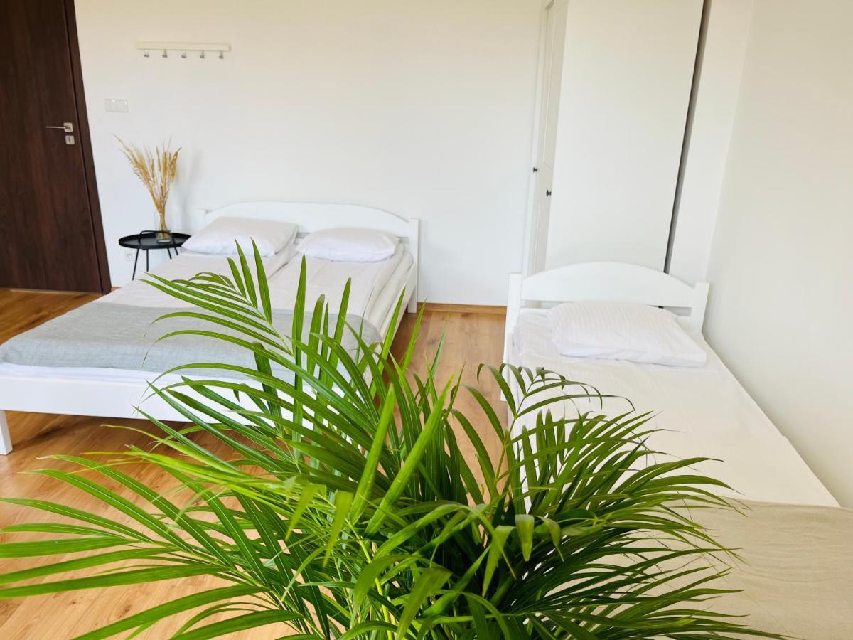 Villa Lawenda Wladyslawowo Bagian luar foto
